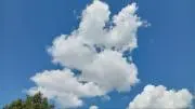 y12の画像