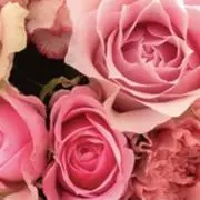 いまるんるんの画像
