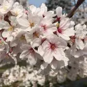るい