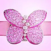 Lady Butterflyの画像