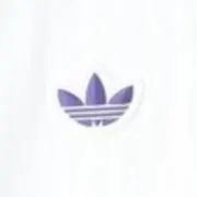 楓の画像