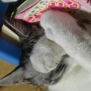 はなこ※プロフ要確認※