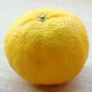 柚の画像