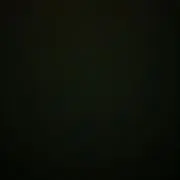 macadamiaの画像