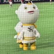 ホークスの画像