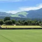ビクの画像