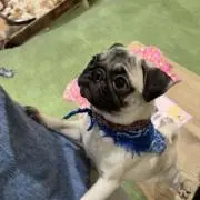 まるせ