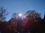 こころの画像