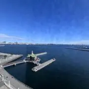 たかの画像