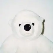yuuの画像
