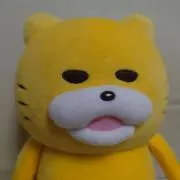 まいまいの画像