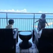 ぽちの画像