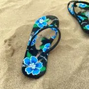 のぢたんの画像
