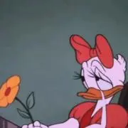 りーふの画像