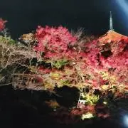 ま