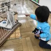 ayato即購入歓迎