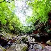 ozacio プロフィール必読お願いの画像