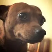 わー