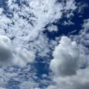 まりりん