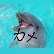 カメくんの画像