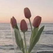 アリス～プロフお読みください～の画像