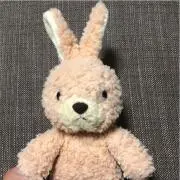 ウサギのタケダ