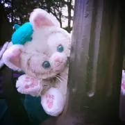 アマネの画像