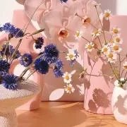 sunday ⸝‍⋆の画像