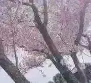 ♡a♡※購入前にプロフ確認お願いします。の画像