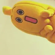 きゃめの画像