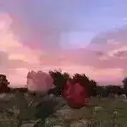 三の画像