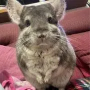 なっちゃん(о´∀`о)の画像