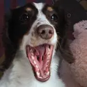 チヒロ