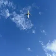 ポチャの画像