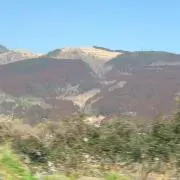 takeの画像