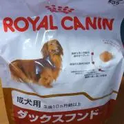 入院中　かのん