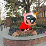 BJBの画像