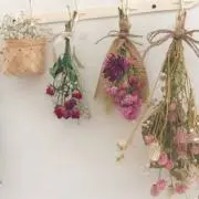 撫松庵　新品　定価￥41800　セオアルファ　ぶしょうあん　はまなす 撫松庵 新品 定価￥41800 セオアルファ ぶしょうあん はまなす - メルカリ