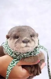 やまだたかゆきの画像