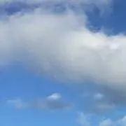 アーモンド