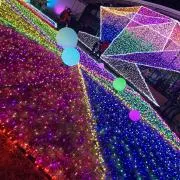 Mの画像
