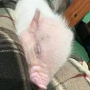 ぼさつ