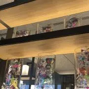 ちょこすけの画像
