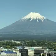 ボンジョルノの画像