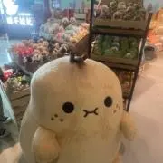 An