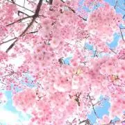 るんるん✴︎発送に関してプロフ必読✴︎の画像