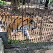 じょんの画像