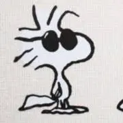naの画像