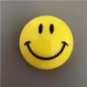 ニコの画像