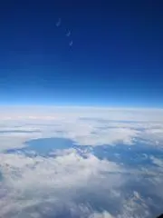 雪兎の画像
